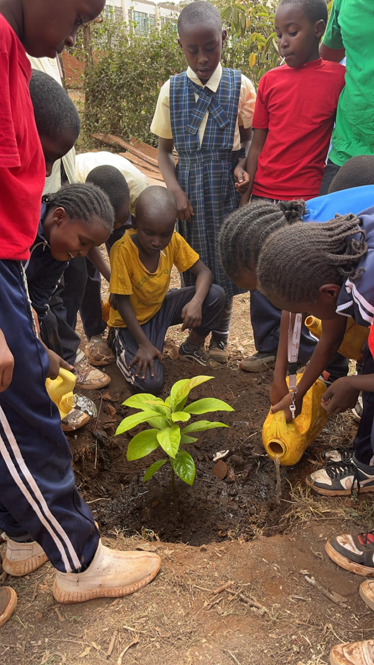 Queen Of Rosary Primary School Thika Municipality, Kenya